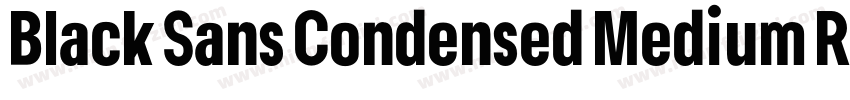 Black Sans Condensed Medium Regular字体转换